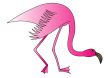 The Rose flamingo