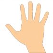 human hand