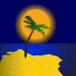 palm on island at sundown