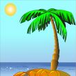 palm on island sun and sea