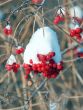 Red snowball on a branch under the snow