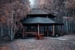 Gazebo in the birch grove