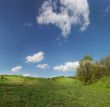 White clouds over the spring woods