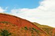 Landslide on the clay hill