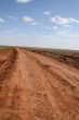Way in the steppe