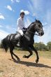 young man and horse