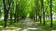 city â€‹â€‹Park