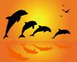 silhouettes of a group of dolphins