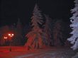 Winter landscape in red light