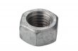 Silver Nut