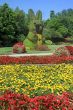 Bunny Topiary
