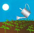 sprinkling can waters plant solar daytime