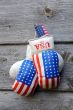 Boxing Gloves and Tiny US Flag