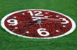 Flower Clock Against Lawn Background