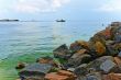 Bay with rocky shore
