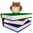 Pile of the books with wise owl
