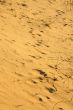 Yellow desert sand