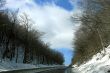 Winter Road
