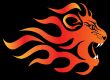  infuriated lion in fire on black