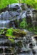 Beautiful Isaqueena Falls