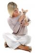 girl and chihuahua