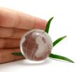 Hand protecting glass globe with leaves