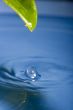 Water drop