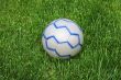 Soccer Ball on the Green Grass