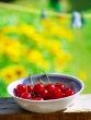 Sweet cherries