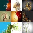 set of floral frames