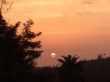 Sunset in Tropical Areas -1