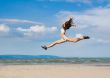 flying girl