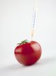 tomato with syringe