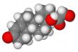 Space-filling model of cortisol molecule