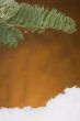Spruce branch