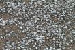 gravel road