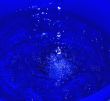   water droplets on a blue background