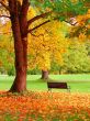 Autumn in Helsinki Public Garden
