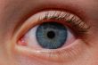 eye detail