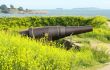 Old Russian Cannon in Helsinki Finland