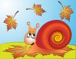 amusing snail on ed sheet by autumn