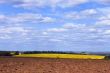 Rural landscape