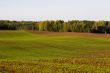 Winter crop field