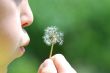 blowball before blowing