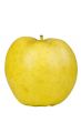 Golden Delicious Apple