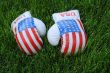 Boxing Gloves with US Flag Image on the Lawn