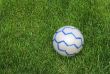 Soccer Ball on the Lawn