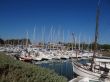 marina of Boyardville on Oleron's island