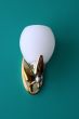 Wall Lamp Against Green Background