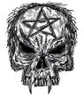 skull